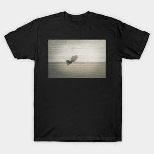 Single tree on agricultural field T-Shirt